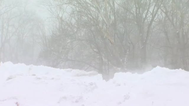 Problemas para circular en el noreste de EEUU por las intensas nevadas