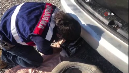 'Paha biçilemez' eserler süpürge kutusundan çıktı