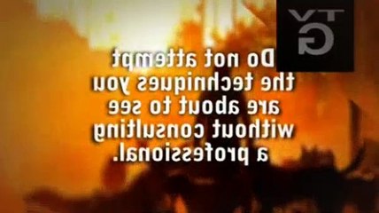 The Dog Whisperer Season 7 Episode 9 India, Jagger, And Axl (Beach Blues)