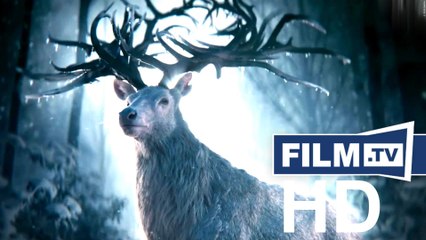 Shadow and Bone Trailer Englisch English (2021)