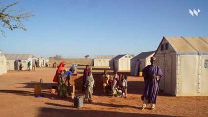 Boko Haram libère plus de 350 garçons, six jours après leur enlèvement