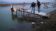 2 yavru kuzuyu ayaklarına ip bağlayıp Manavgat Irmağı'nda ölüme terk ettiler