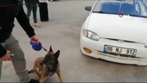 Narkotik köpeği otomobilde uyuşturucu buldu