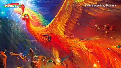 Truyền thuyết về Phoenix (Phượng Hoàng) – Loài chim thống lĩnh bầu trời