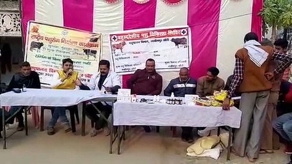 पशु चिकित्सा शिविर का किया गया आयोजन