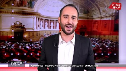 Audiovisuel : coup de projecteur sur un secteur en pleine mutation - Les matins du Sénat (18/12/2020)