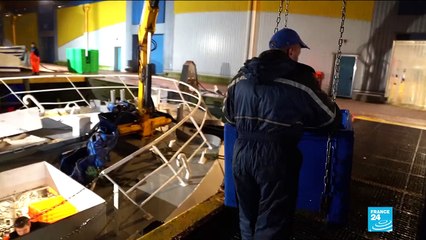 Brexit deadlock: EU-UK trade talks face 'last attempt' to fix fish