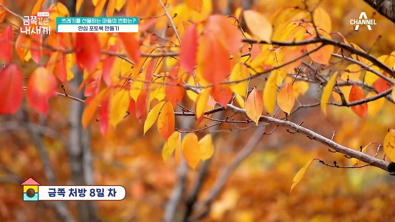 [오은영 금쪽 처방] 오래오래 간직할 '안심 포토북' 만들기!