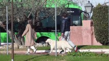 Feliciano López y Sandra Gago, paseo en familia antes de ser 3