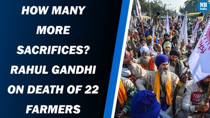 How many more sacrifices? Rahul Gandhi on death of 22 farmers