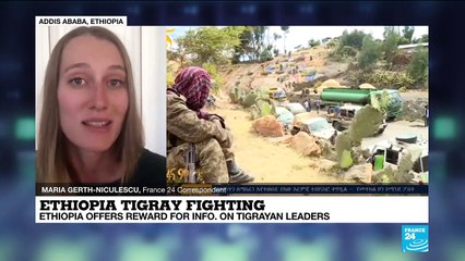 Ethiopia offers reward for information on fugitive Tigrayan leaders