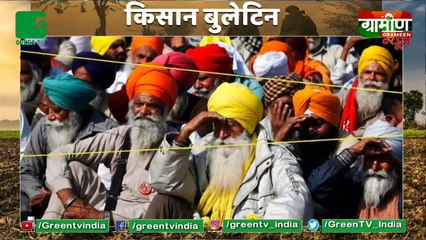 गाय के गोबर से बना पेंट लॉन्च करेगी सरकार, पशुपालकों की आमदनी बढ़ाने में सहायक होगा ये कदम : Kisan Bulletin  : Grameen News