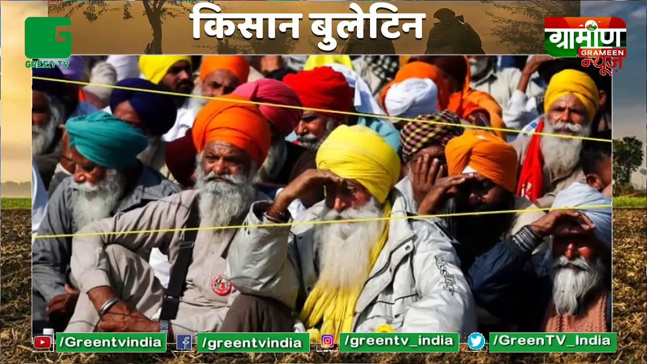 गाय के गोबर से बना पेंट लॉन्च करेगी सरकार, पशुपालकों की आमदनी बढ़ाने में सहायक होगा ये कदम : Kisan Bulletin  : Grameen News