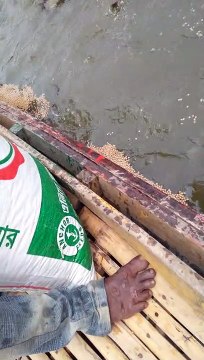 High Quality Anchor Fish Feeds For Better Fish Production