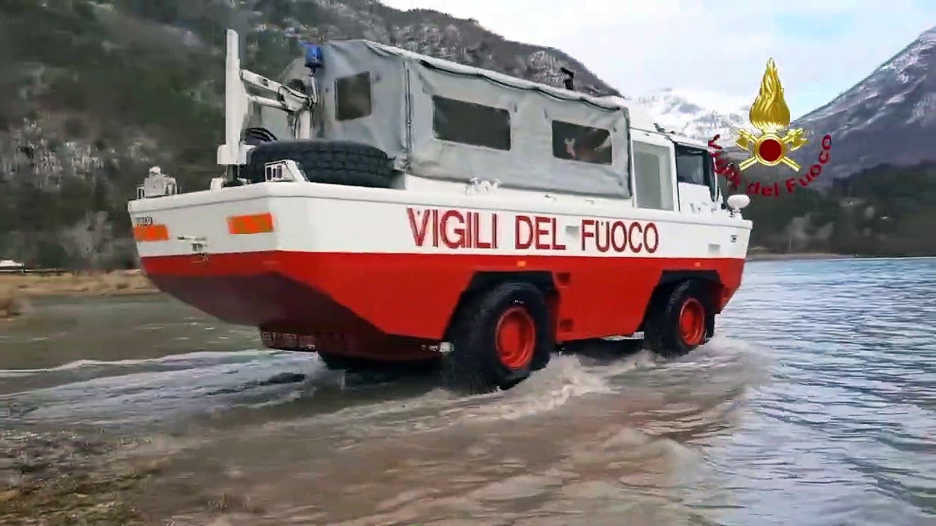 Anfibio vvf sale