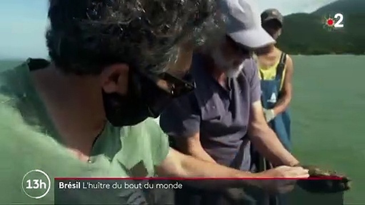 Brésil : l'ostréiculture de Florianópolis