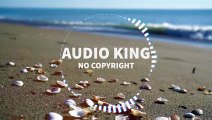 Nico Staf - Snake on the Beach |Audio King|