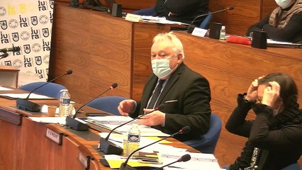 Séance Publique - Budget primitif 2021 - 11/12/20 matin