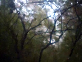 Ave Maria 60bpm melody