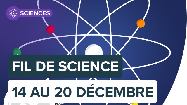 Fil de Science : résumé de la semaine en podcast | Futura