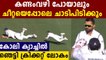 Virat Kohli's stunning catch to dismiss Cameron Green