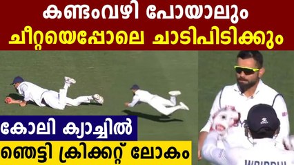 Virat Kohli's stunning catch to dismiss Cameron Green