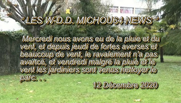 LES W-D.D. MICHOU64 NEWS - 12 DÉCEMBRE 2020 - PAU RAVALEMENT RÉSUMÉ DE LA SEMAINE N° 50 DU 7 AU 11 DÉCEMBRE VENDREDI NETTOYAGE DU PARC