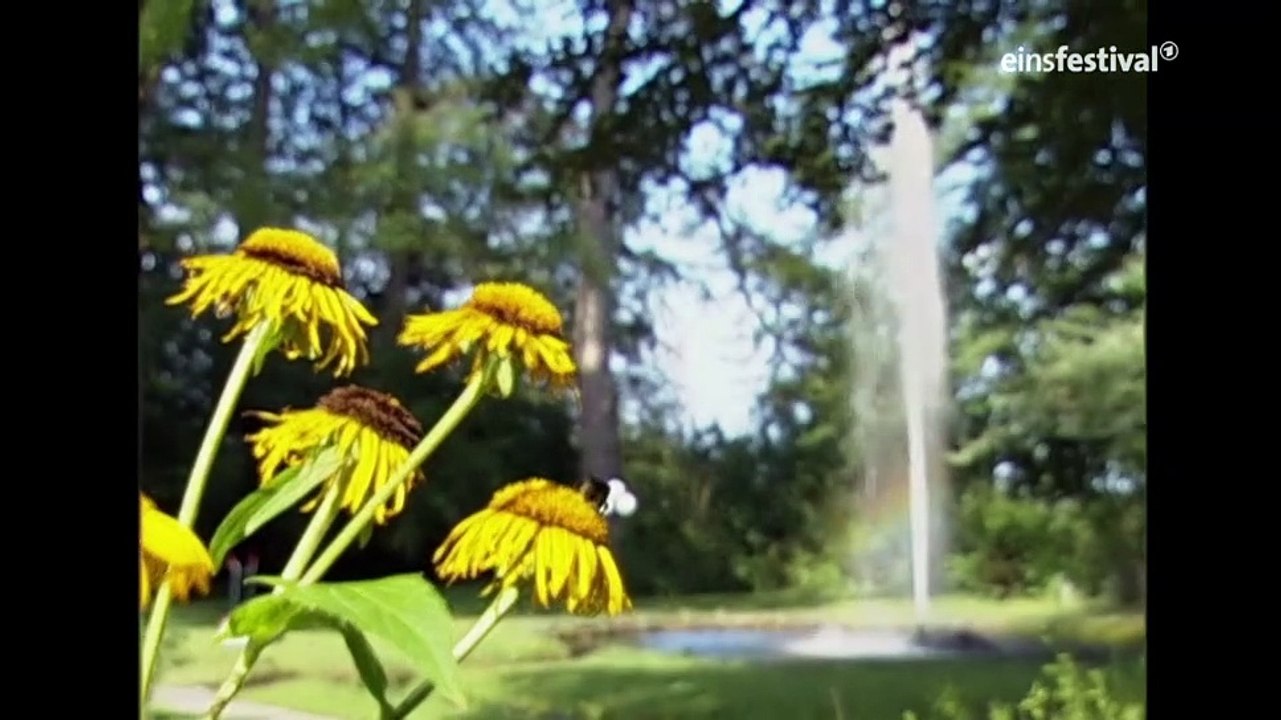 Sturm der Liebe Folge 40