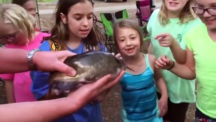 Baby Shark Doo Doo ! Funniest Babies Reaction To Fish #2 _ Funny Babies (1)