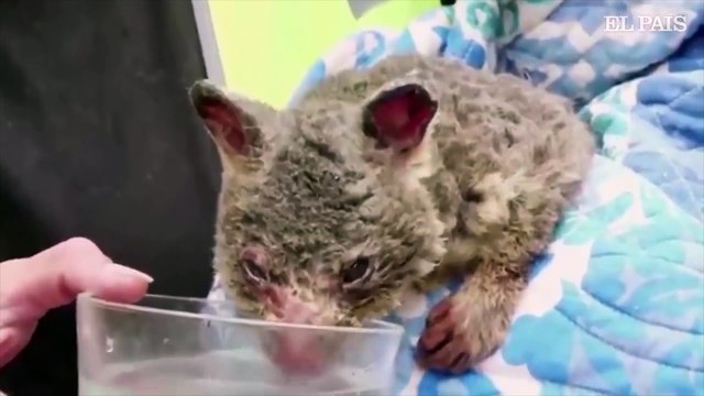 Costa Rica Noticias - Resumen anual noticias internacionales