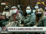 Aprueban Ley Constitucional que regula vigencia de actos emanados de la ANC