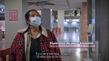 Palomas Mensajeras, el programa que une a las familias de Michoacán