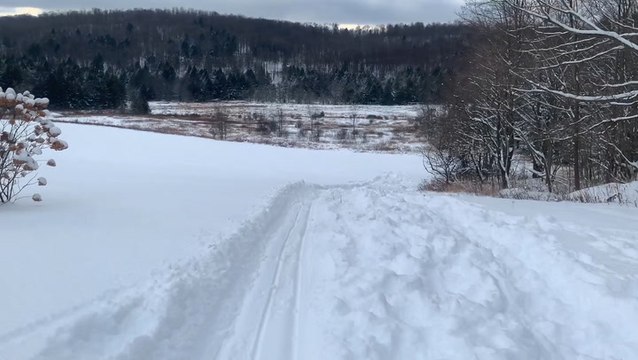 Sledding into the weekend