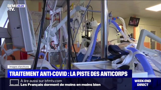 La piste des anticorps comme traitement anti-Covid