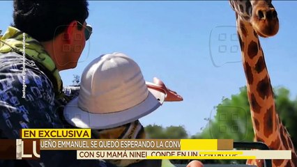 ¡Ninel Conde quiere ver a su hijo, pero lo dejó plantado en su convivencia virtual! | Ventaneando