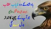 Two Eagles of a King Best Powerful Motivational Video Urdu Hindi | Inspirational Speech