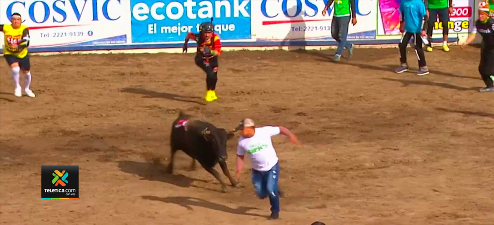 tn7-No-habrá-corridas-de-toros-en-Zapote,-confirma-Salud-181220