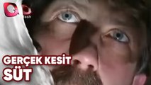 GERÇEK KESİT - SÜT