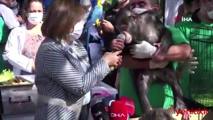 Fatma Şahin'in maymunla imtihanı