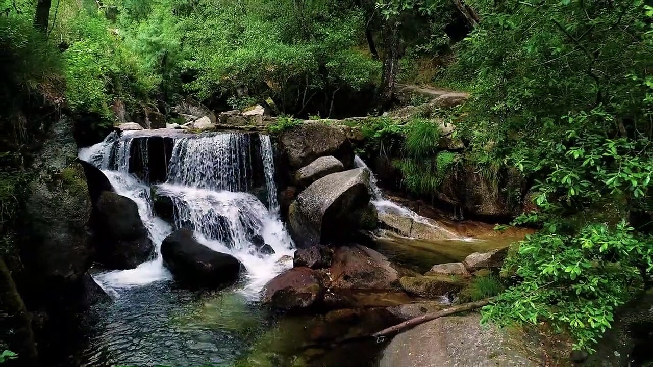 Ultra Slow Motion in 8K ULTRA HD 1000FPS