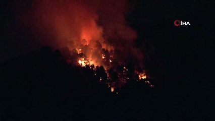 Aydos Ormanı sabaha karşı alevlere teslim oldu