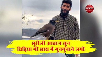 Video: सुरीली आवाज में गा रहा था शख्स, चिड़िया ने सुना तो इस तरह देने लगीं साथ