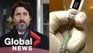 Coronavirus: When should world leaders get vaccinated?