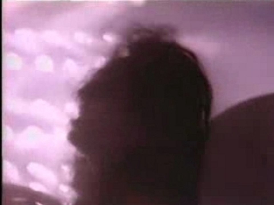 Vixen - Love Made Me