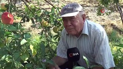 Emekli öğretmen ayvada Türk bayrağı damgasına imza attı
