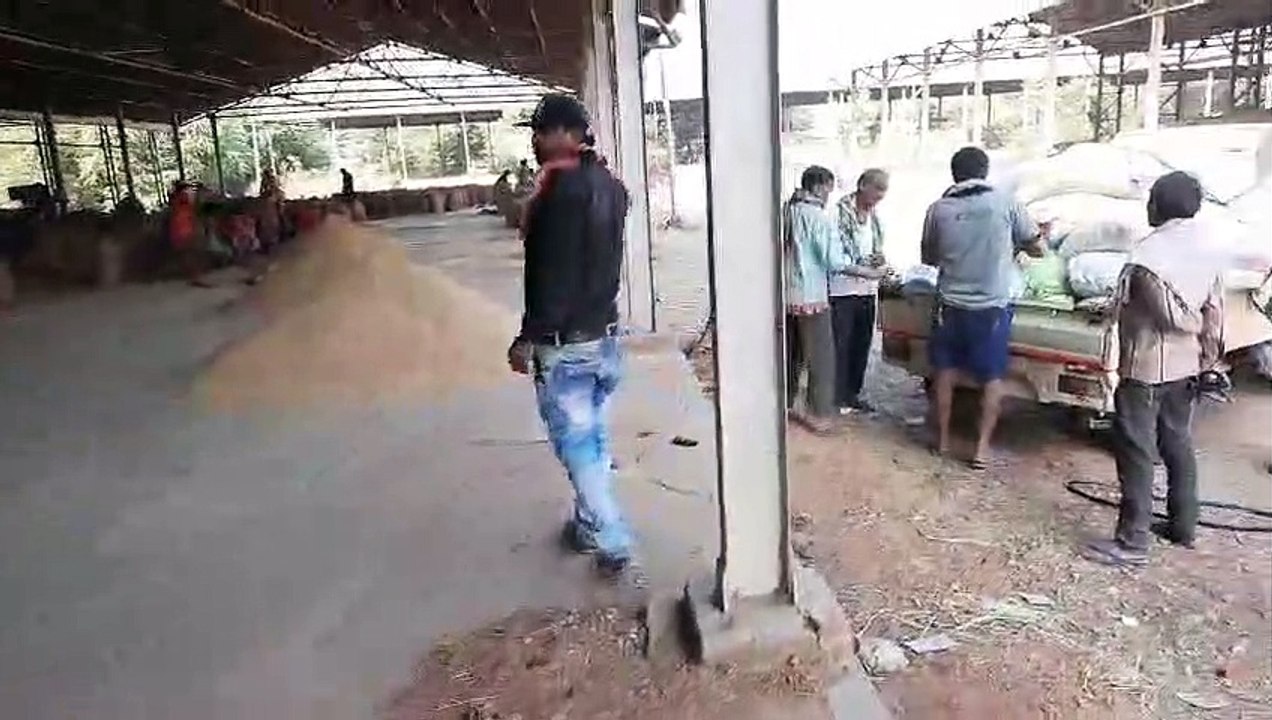 1 लाख 17 हजार 194 किसानों ने बेचा धान, 5 जिले क...