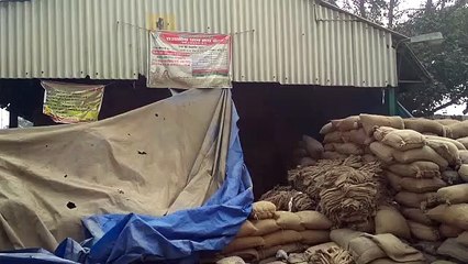 जिला प्रशासन की बड़ी लापरवाही, अभी भी नहीं तौला जा रहा मंडियों में धान