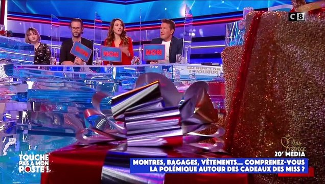 Les confidences de la Miss France Delphine Wespiser dans TPMP : Etre Miss France c'est un boulot de dingue !