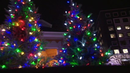 BONNE NOUVELLE CIMT | Plus de 10 000 lumières pour faire briller l'espoir