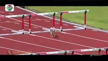 A Cat Beats All the Runners in Asian Games 2018